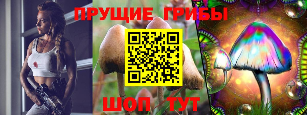 Воткинск  Галлюциногенные грибы Psilocybe  Вход с VPN 